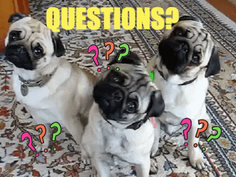 Pug_Thoughts.gif